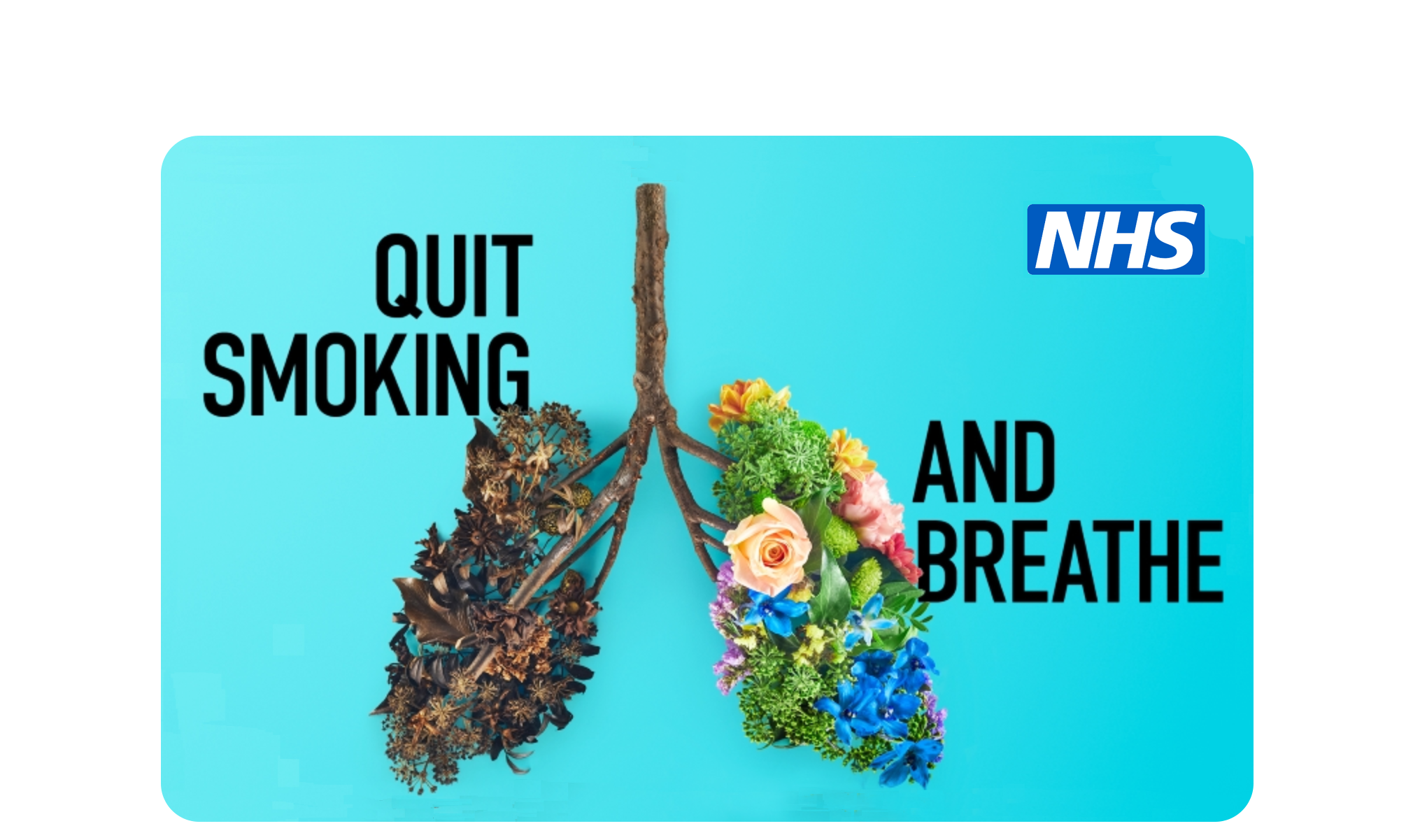 Quit Smoking NHS Treacle   Quit Smoking NHS 1 