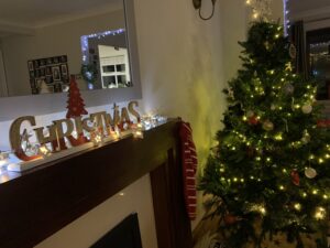 Simple photo of a fireplace and Christmas tree.